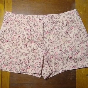 Ann Taylor Loft shorts
